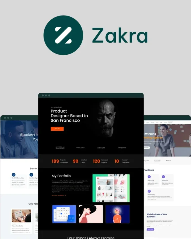 WordPress Zakra Pro Teması